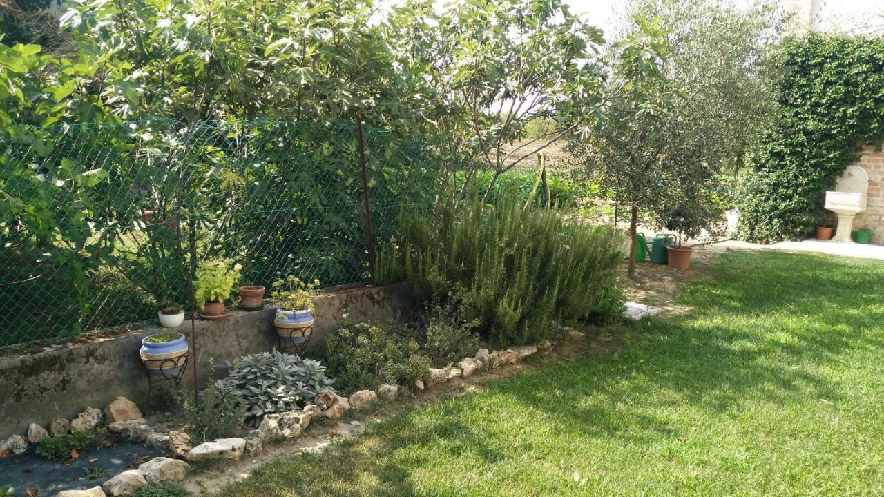 Bed and Breakfast L'Albero Della Gioia Villanova sull'Arda Exterior foto